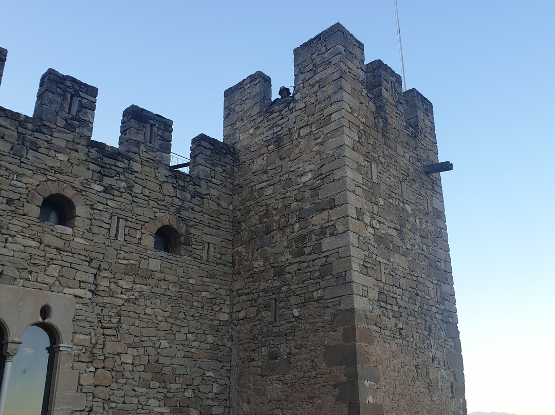 Castell De Montsonis景点图片