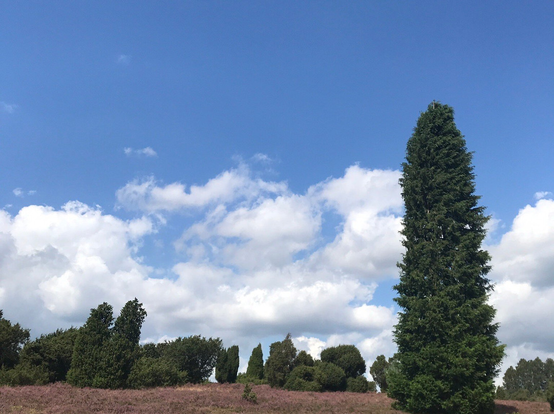 Oberhaverbeck旅游攻略图片