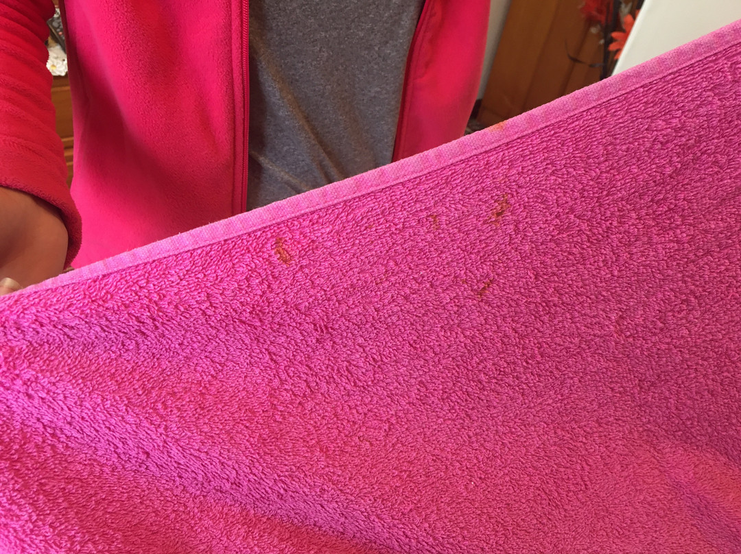 Prince of Wales Inn主图