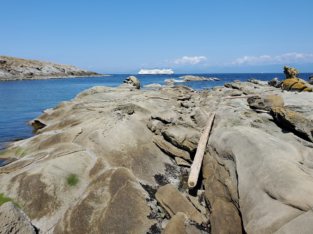 Island Römer Adventures景点图片