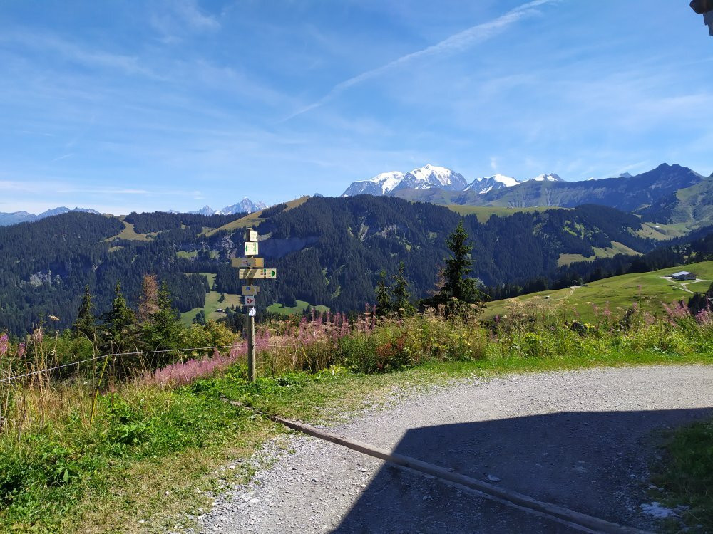 Chemin des Contrebandiers-Praz Sur Arly必去景点