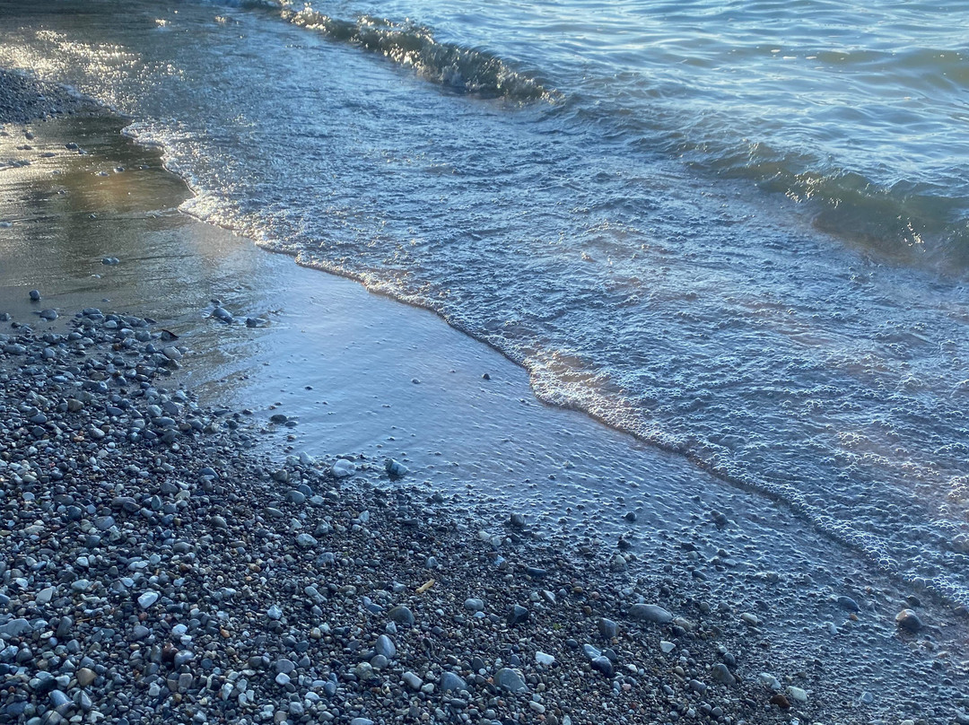 Wasaga Motel Inn主图