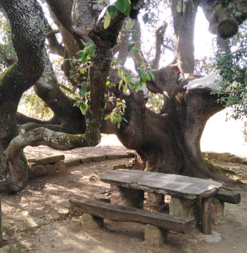 Fattoria Casabianca景点图片