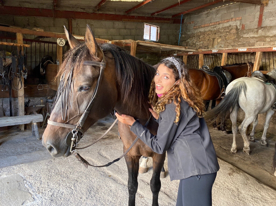 Abiada旅游攻略图片