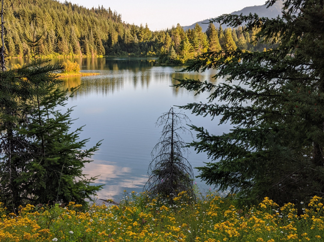 Gold Creek Pond Trail景点图片