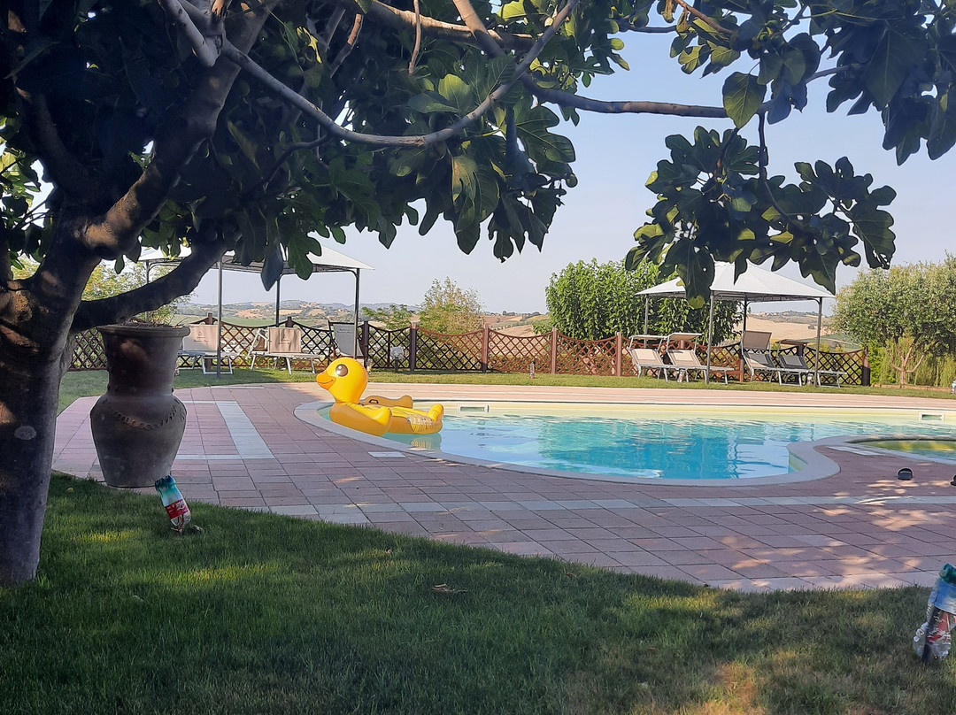 Agriturismo Papaveri e Papere主图