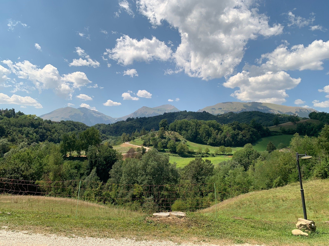 Agriturismo Madonna di Piana主图