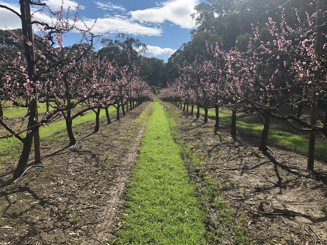 Appleshack at Glenbernie Orchard-Darkes Forest必去景点