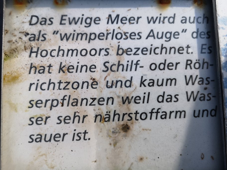 Ewiges Meer-Dornum必去景点