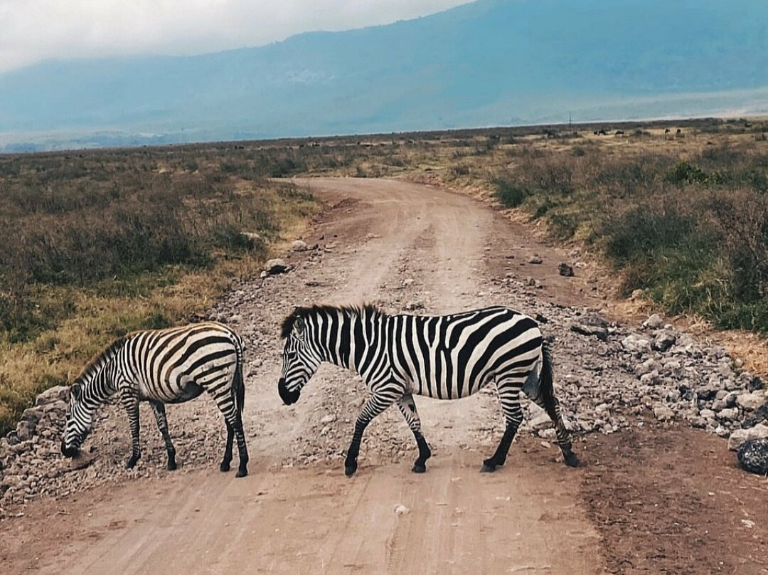 Mgalaa Expeditions-莫西必去景点