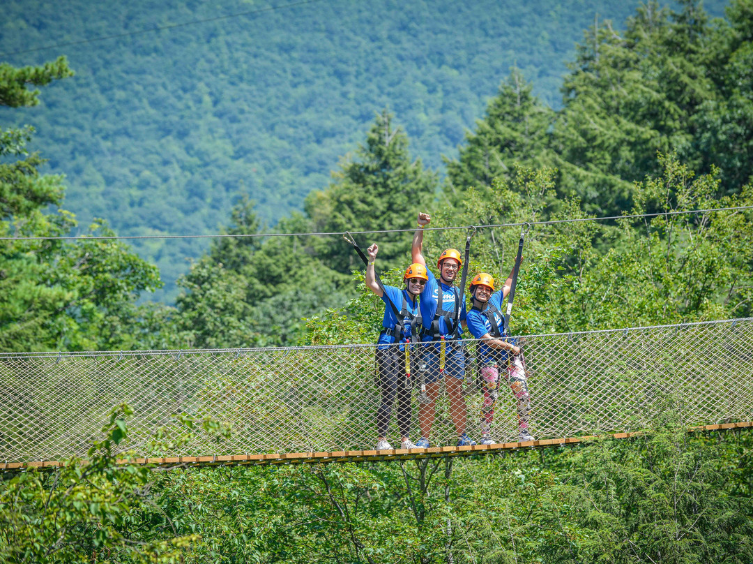 Bristol Mountain Aerial Adventures-卡南代瓜必去景点