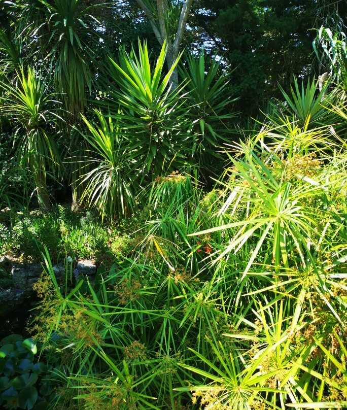 Les Jardins de La Boirie景点图片