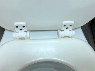 Best Western Kent Narrows Inn主图