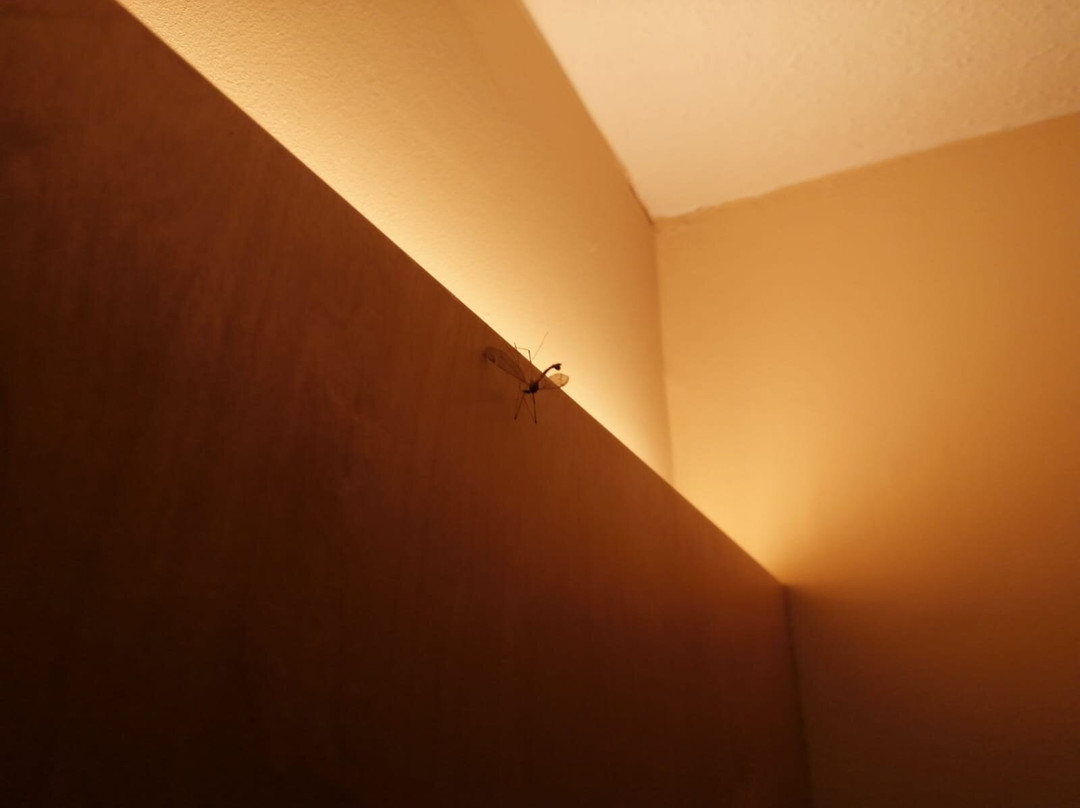 JUFA Hotel Wangen im Allgäu主图