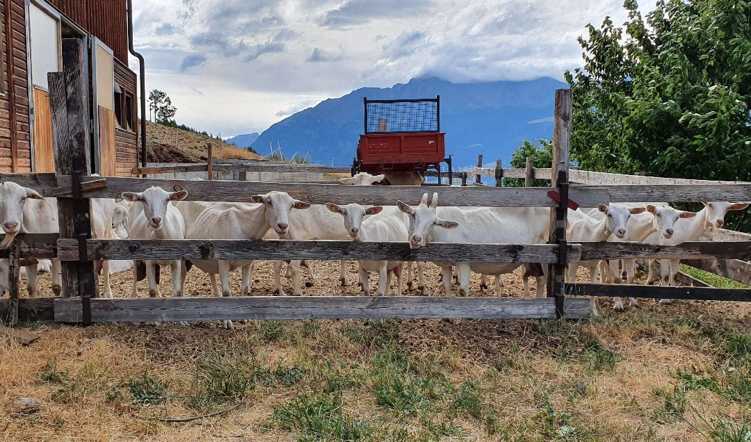 Agriturismo Les Ecureuils主图
