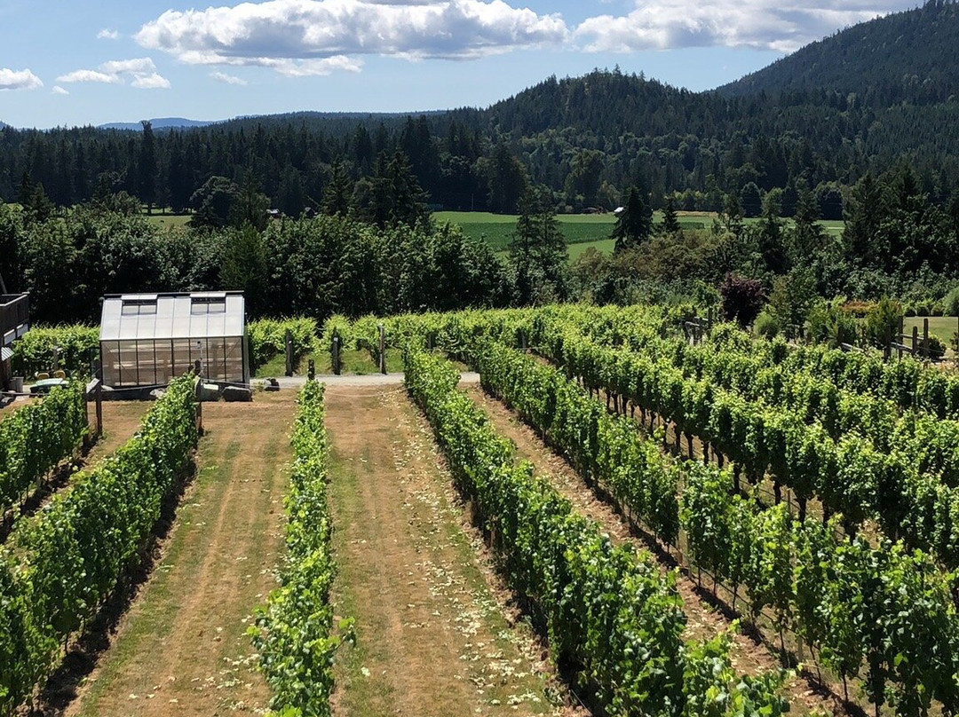 Island Time Tours-维多利亚必去景点