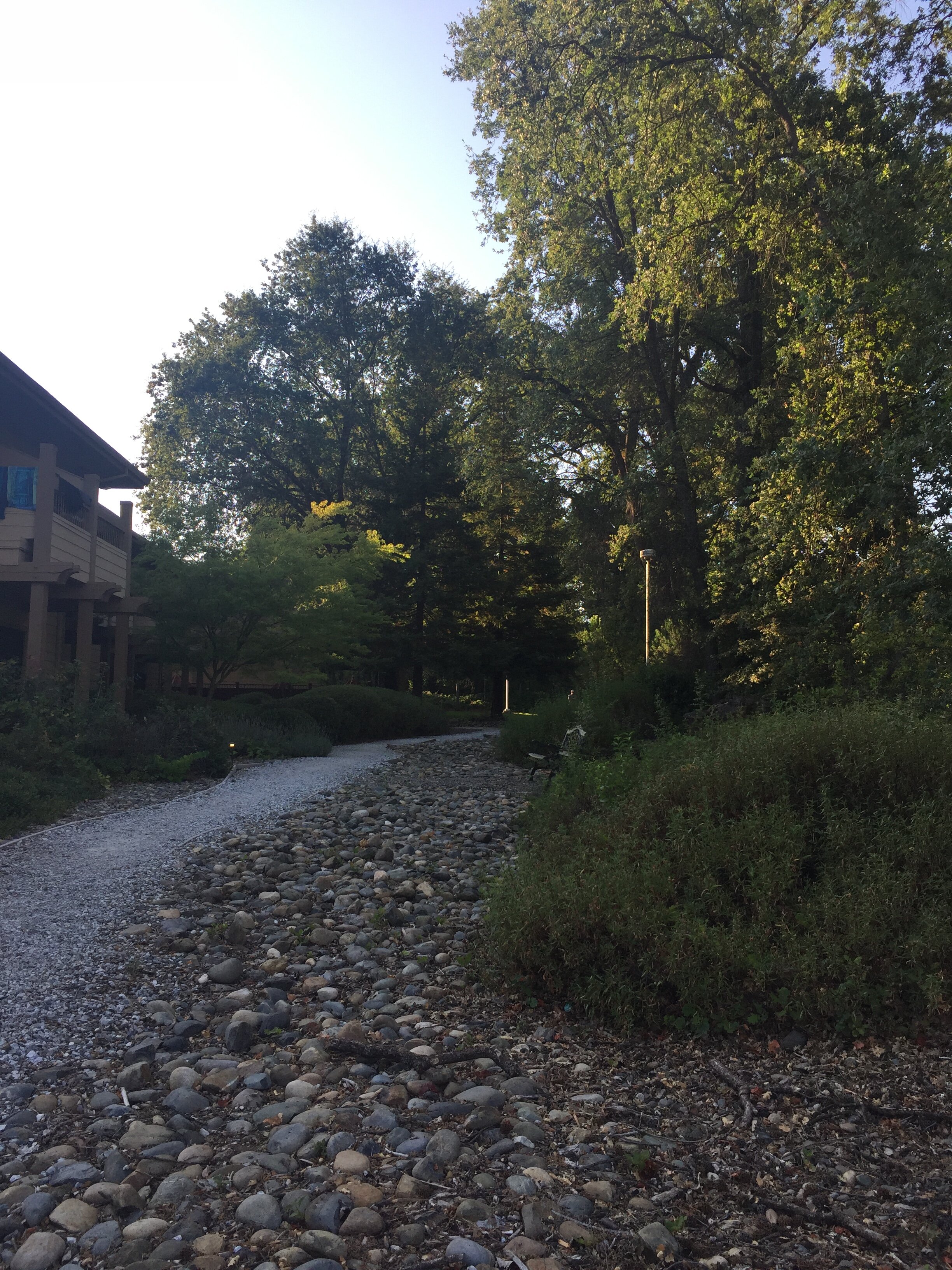 Best Western Plus Sonora Oaks Hotel & Conference Center-官方