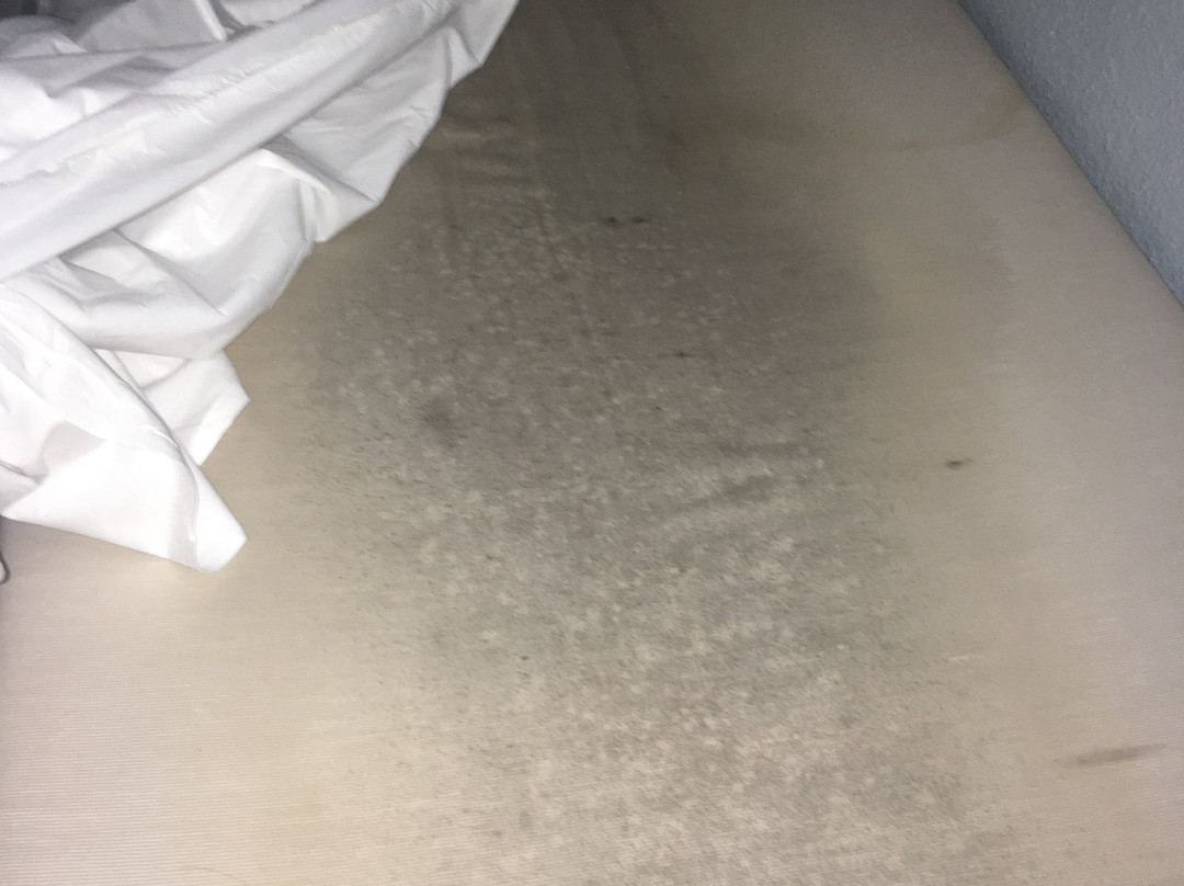 Ibis Budget Nancy Porte Sud主图