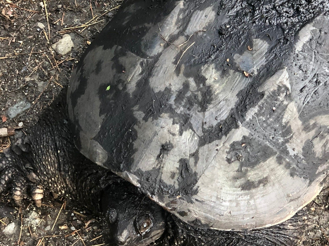 Cutler Park-尼达姆必去景点