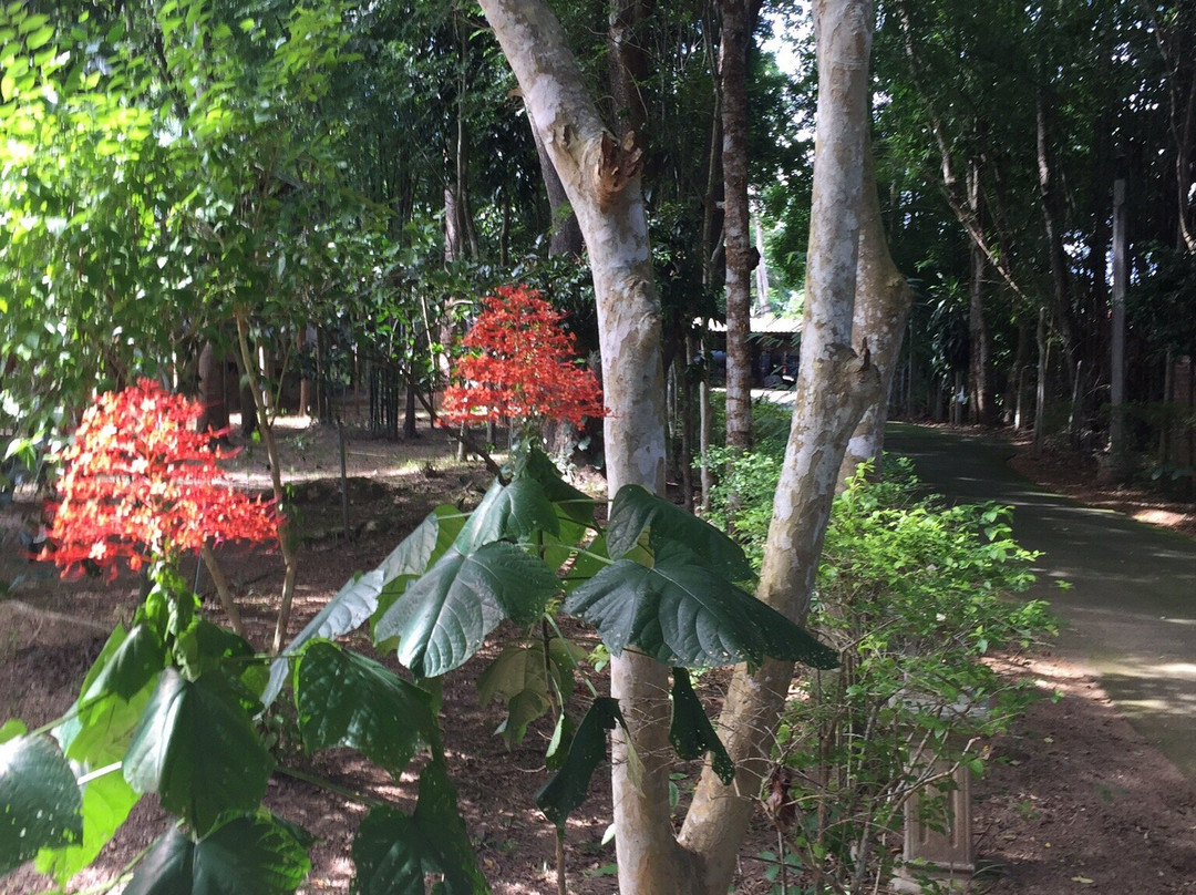 Mueang Ngai旅游攻略图片