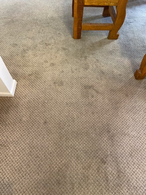 The Shores at Lake Travis主图