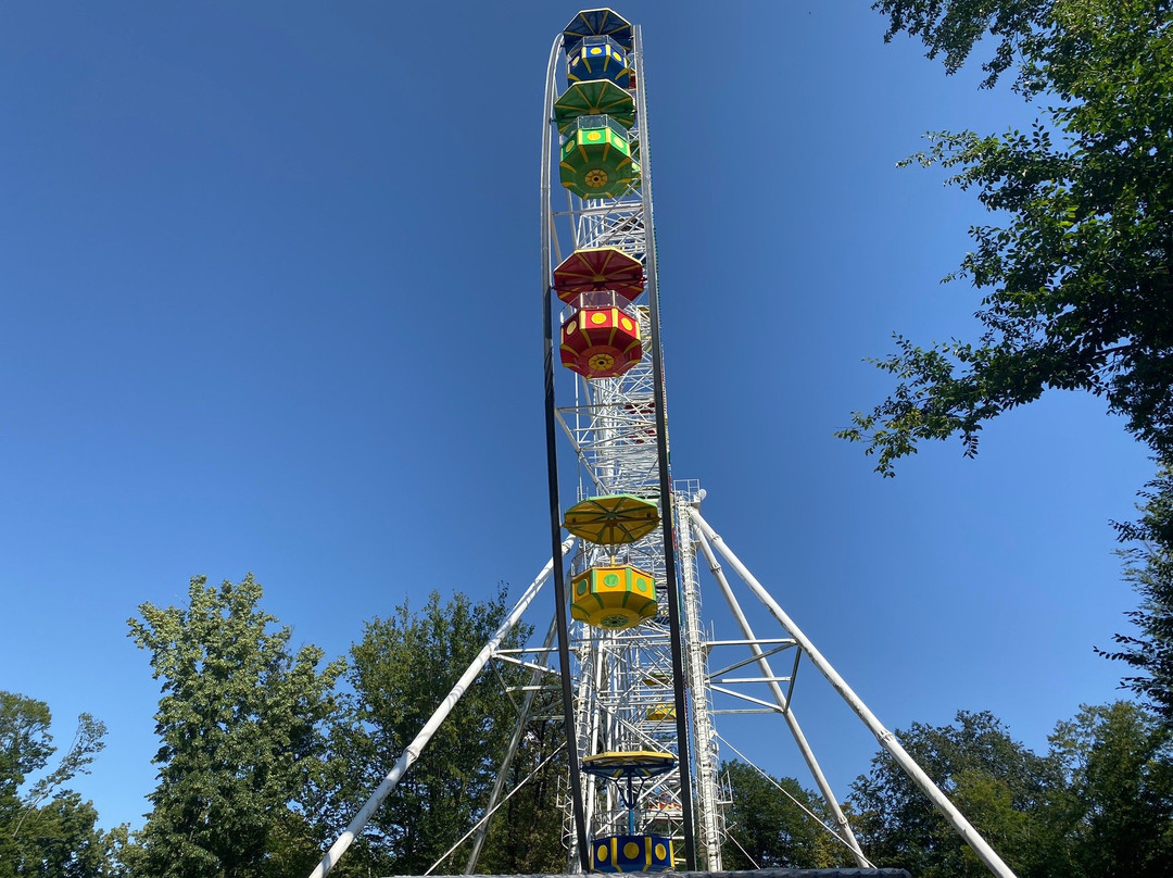 Ferris Wheel-索契必去景点