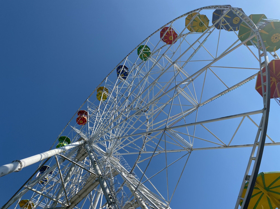 Ferris Wheel-索契必去景点