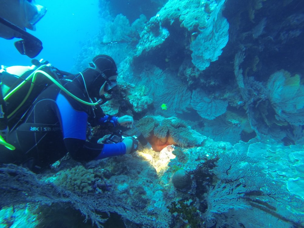 Tieti Diving-Poindimie必去景点