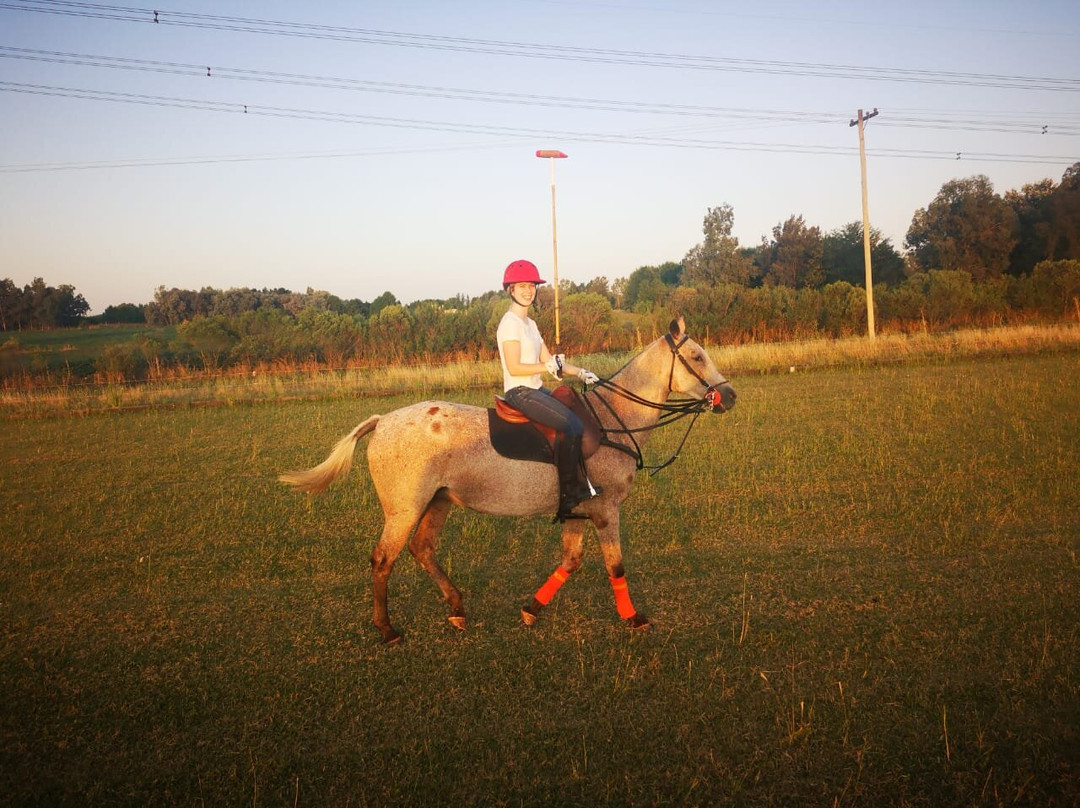 La Amistad Polo-Pilar必去景点