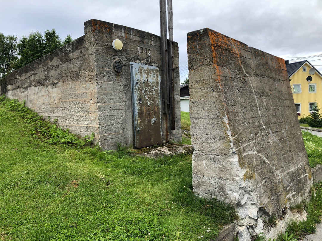 Andersgrotta WWII Bomb Shelter-希尔克内斯必去景点