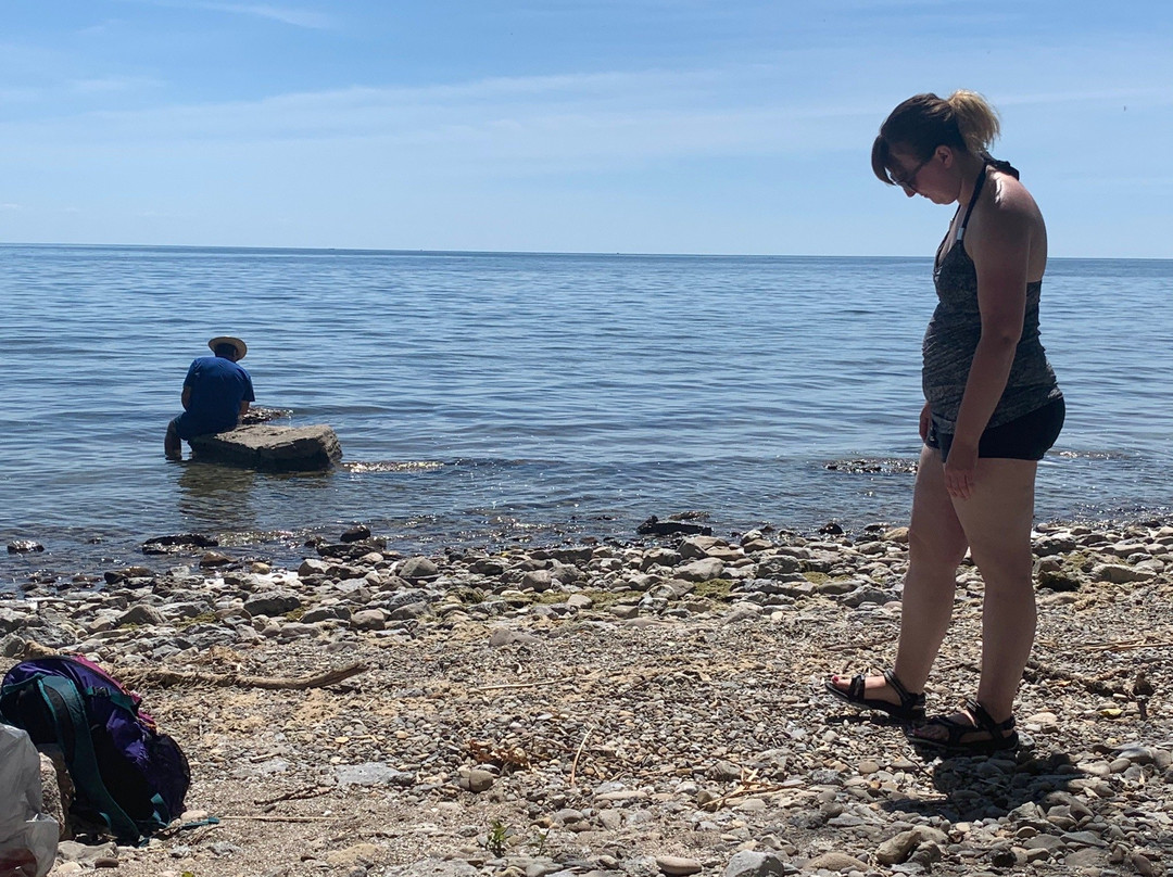 Rock Point Provincial Park-Dunnville必去景点