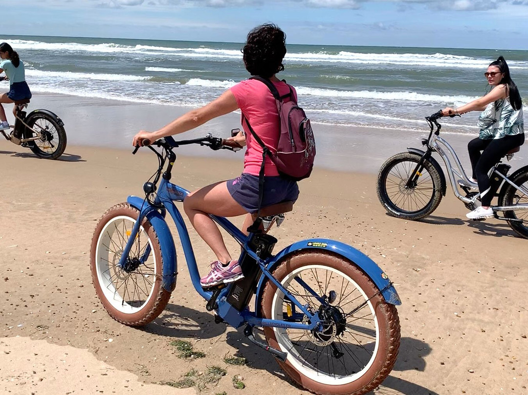 Fat Sand Bikes 17景点图片