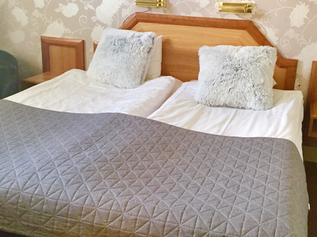 Hotell Kung Gosta主图