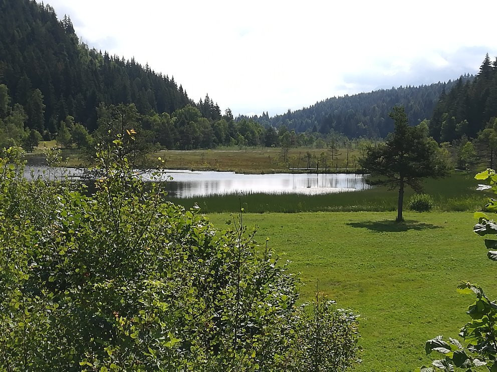 Torbiera di Pian Gembro景点图片
