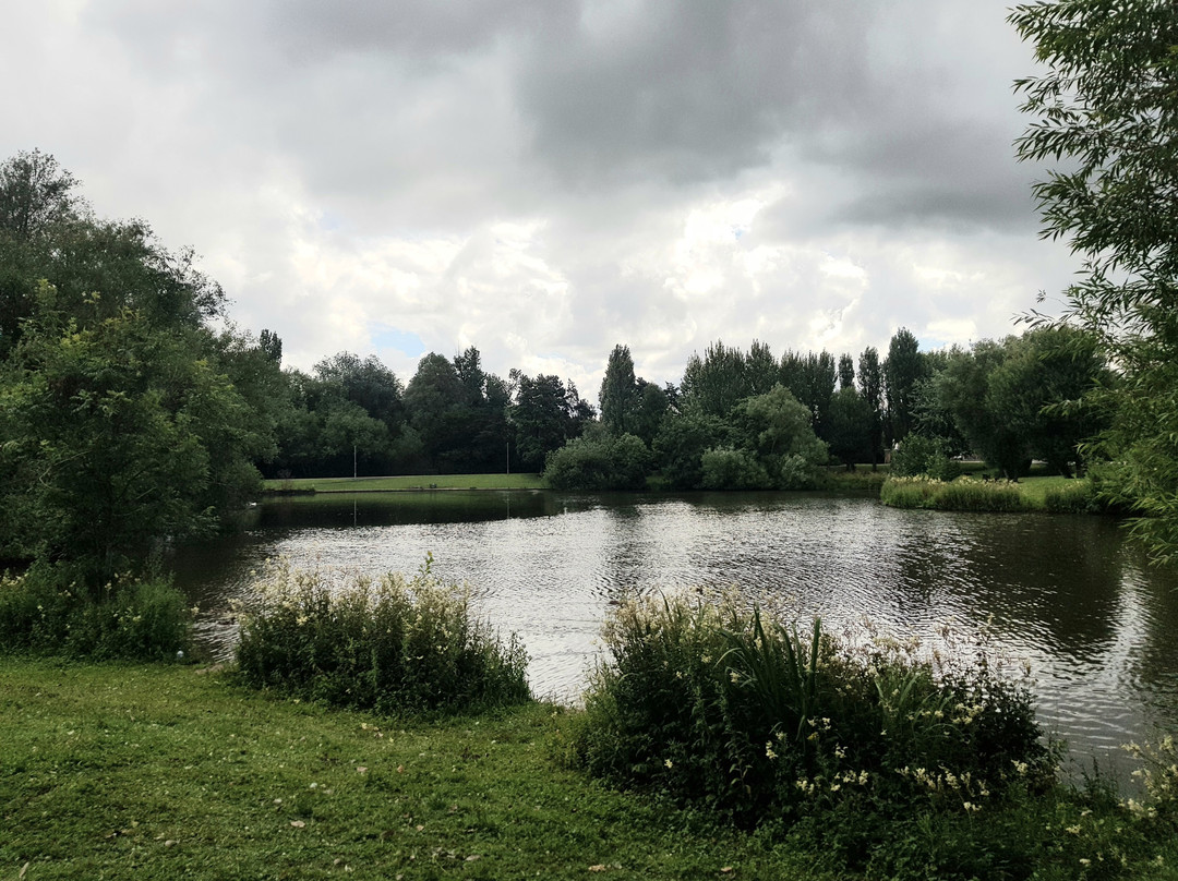 Kirk Hallam Lake & Meadow