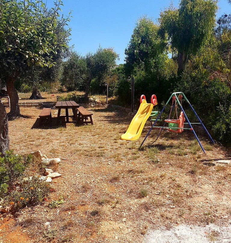 Valle Degli Ulivi主图