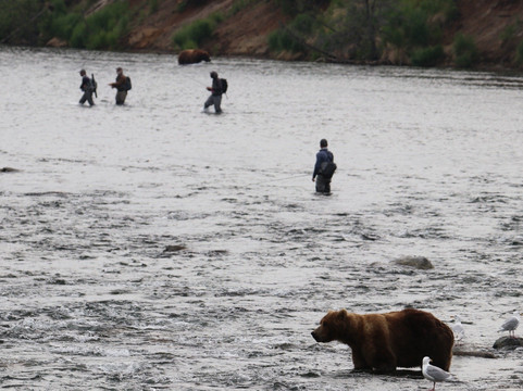 Adventure Airways-荷马必去景点