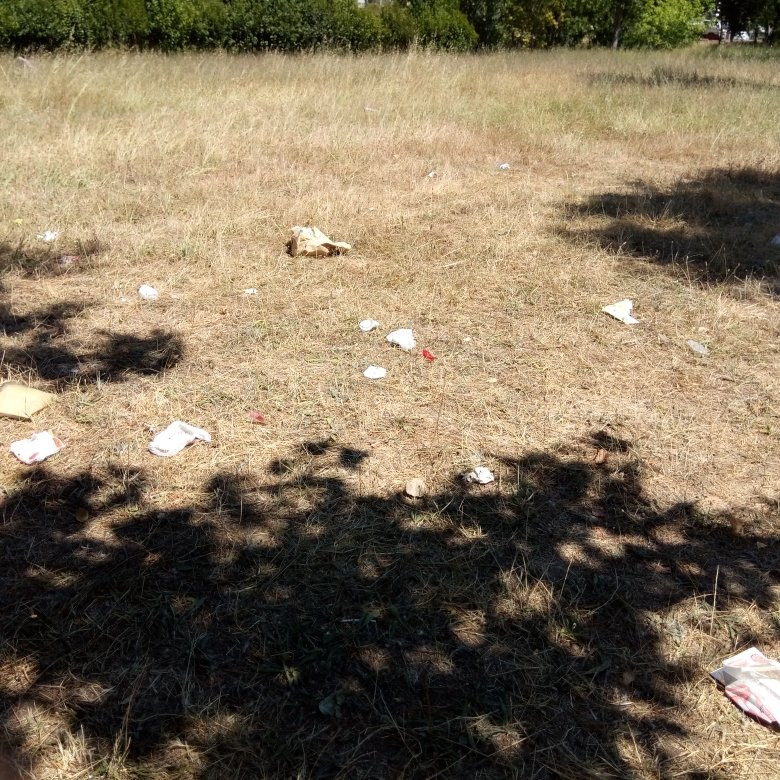 Choupal National Forest-科英布拉区必去景点