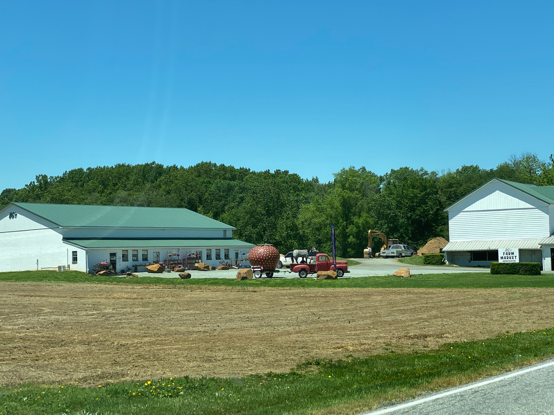 Bg's Farm Market景点图片