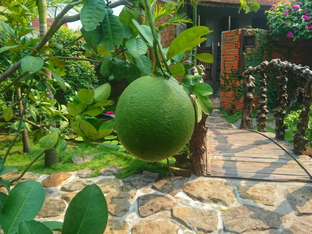 Quang Đuc Xua-绥和必去景点