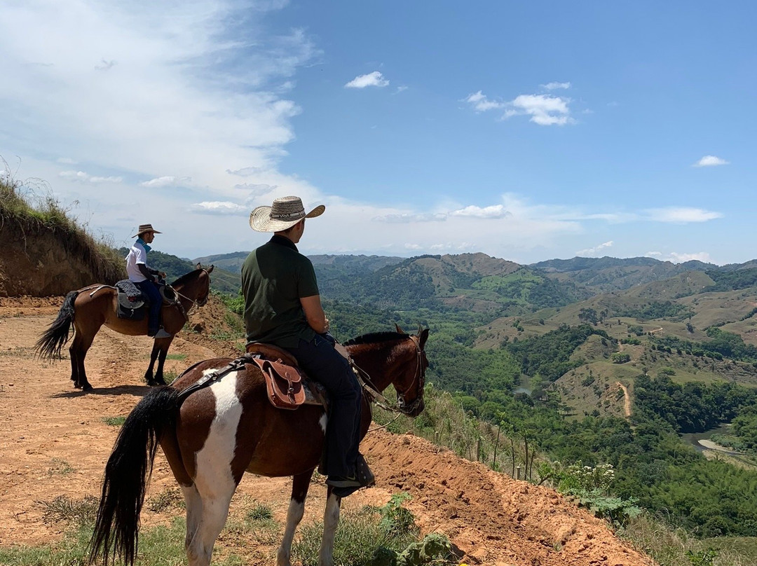 Experiencia Cafetera-Pijao必去景点