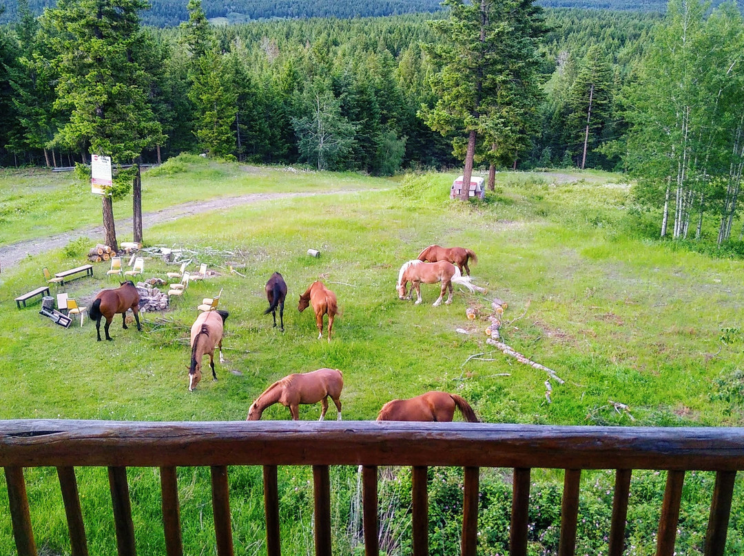 Spruce Hill Resort & Spa主图