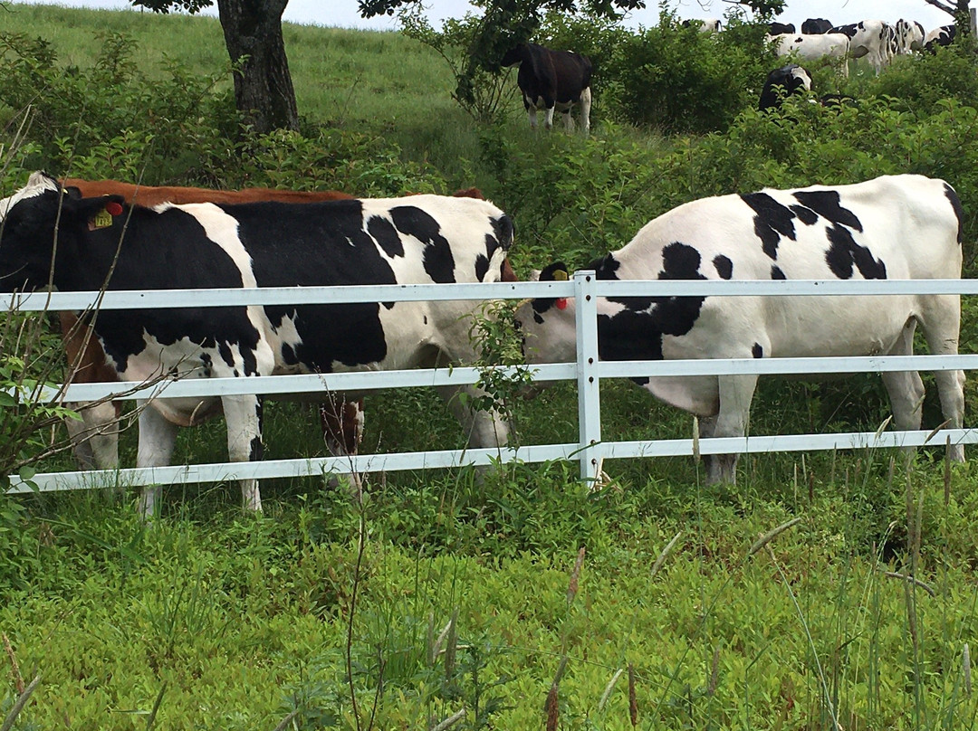 Ozasa Ranch-日光市必去景点