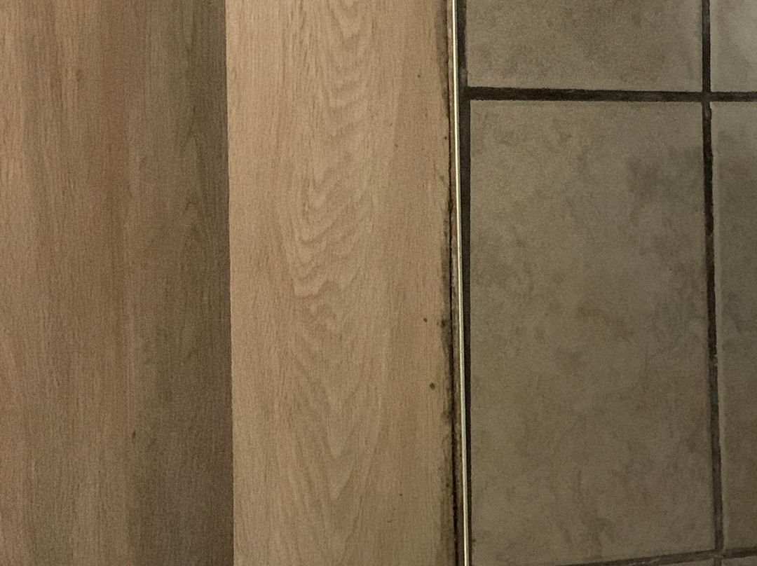 Econo Lodge Hermitage主图