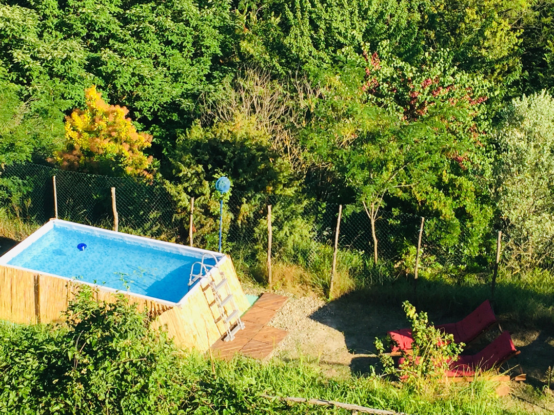 B&B Al Giardino dei Mandorli主图