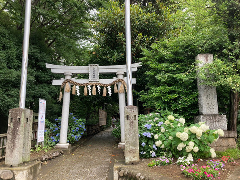 Hikawa Shrine-北本市必去景点