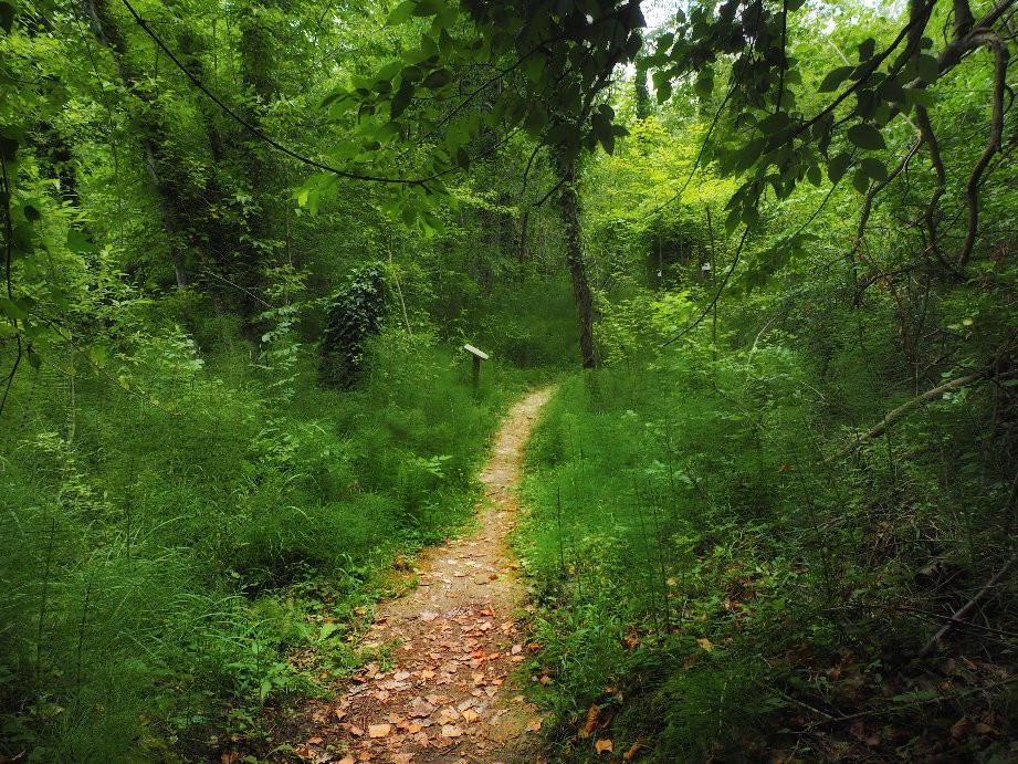 Riserva Naturale Castel Cerreto景点图片