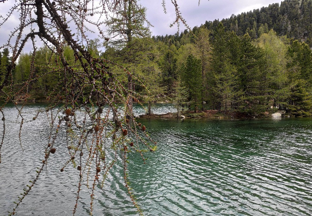 Rundwanderung zum Zirmtaler See-Castelbello-Ciardes必去景点