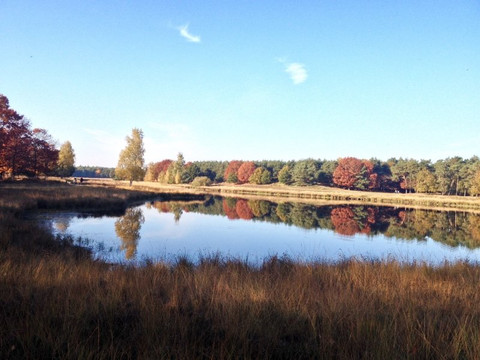 Someren-Heide旅游攻略图片