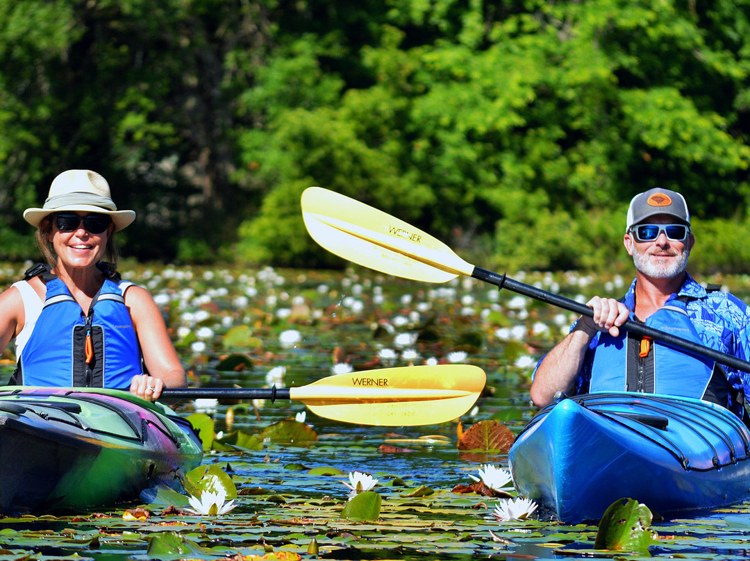 Blueway Adventures景点图片